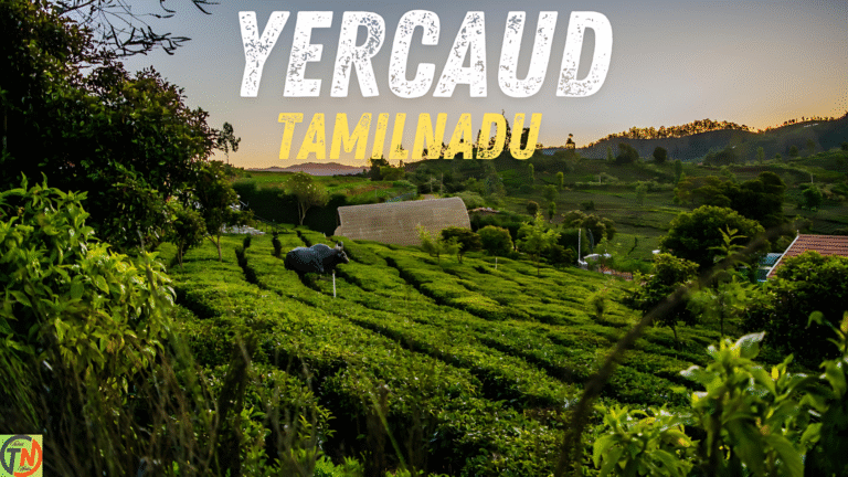 Yercaud, Tamil Nadu