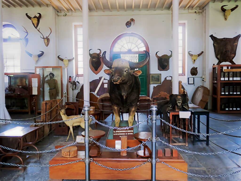 Gedee Car Museum