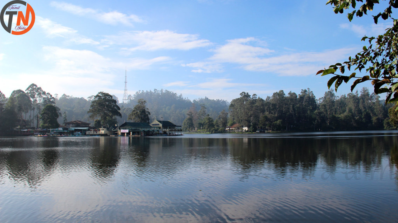Kodaikanal Lake