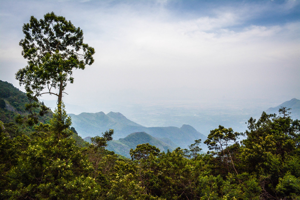 Moier Point