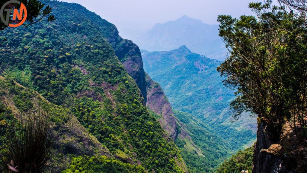 Silent Valley View, kodaikanal