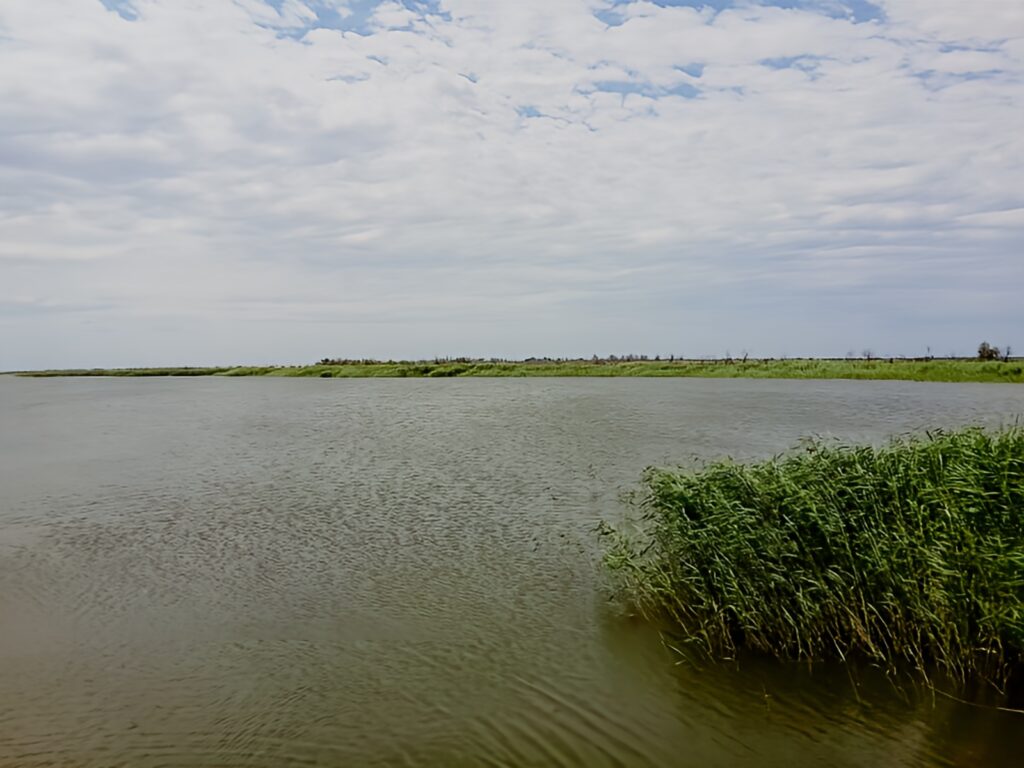 Singanallur Lake