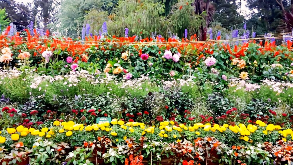 TNAU Botanical Garden